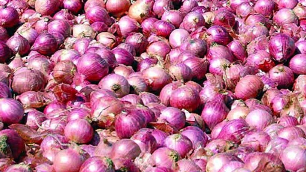 1 lakh 40 thousand quintal onion solapur apmc