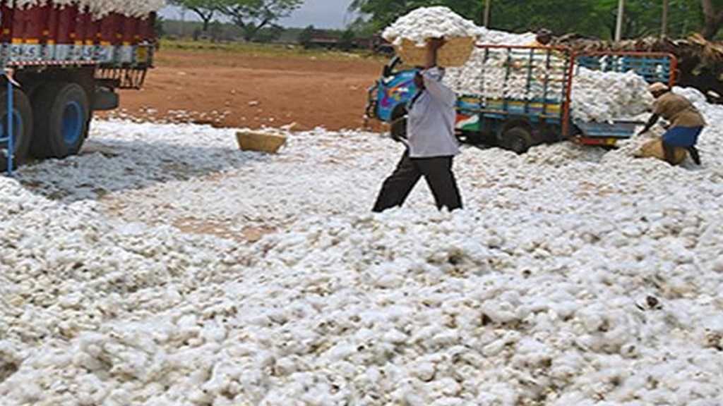 maharashtra half of the ginning industries shut down, cotton ginning industries