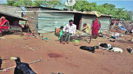 1126 hectares of government land encroached, encroachment in gondia