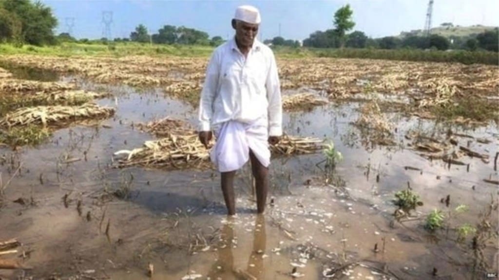 claim of crops damaged, crops damaged in amravati