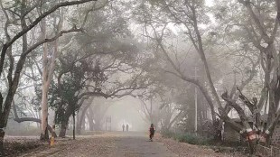unseasonal rain, weather, dry, maharashtra, tomorrow