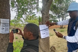 talking tree nust smartphone app, zimbabwe trees gives information
