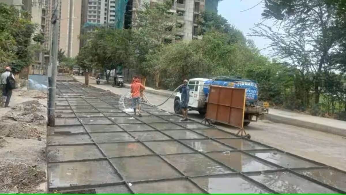 bombay hc temporarily stays bmc road tender