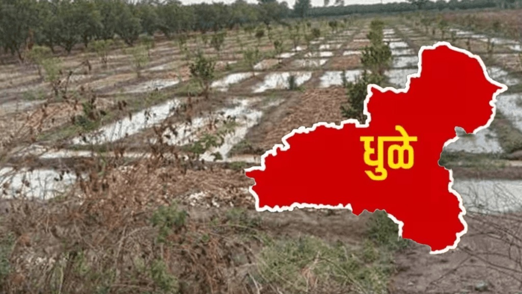 unseasonal rains Dhule 82 villages affected 242 hectares agricultural crops damaged