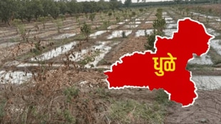 unseasonal rains Dhule 82 villages affected 242 hectares agricultural crops damaged