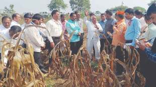 central team in malegaon for crop inspection farmers expressed displeasure in front of officials