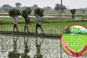 Advance amount of Rs 849 crore due by crop insurance companies in the state