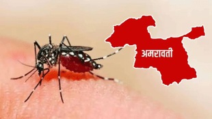 Amravati 544 dengue cases reported eleven months One patient died