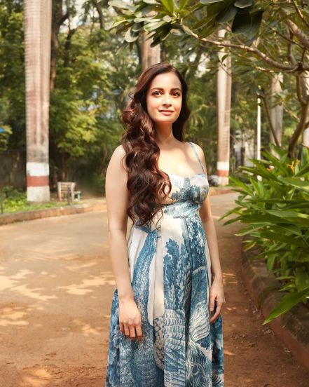 dia mirza 8