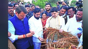 eknath shinde