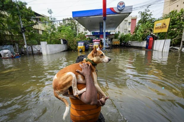 Cyclone michaung