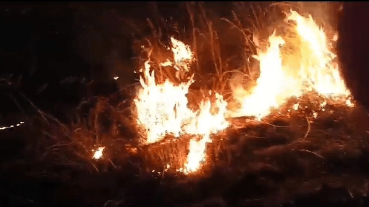 Friday night, unidentified people fire mountains Kadape-Vasheni uran