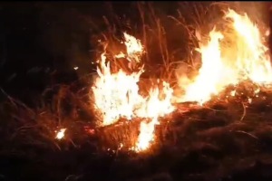 Friday night, unidentified people fire mountains Kadape-Vasheni uran