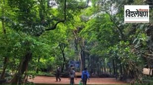 loksatta analysis about projects safety in reserve forest