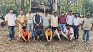 gang that smuggled wild boars for meat was arrested