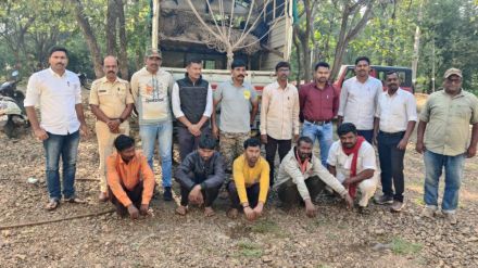 gang that smuggled wild boars for meat was arrested