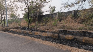 grass on the road Panje village uran fire trees on the side burning