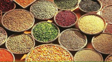shree food excellence center shifted to baramati from solapur