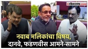 Devendra Fadnavis answering on opposition leader ambadas danve questions regarding Allegations against Nawab Malik