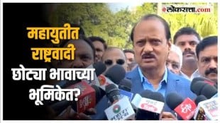 Ajit Pawar on Mahayuti