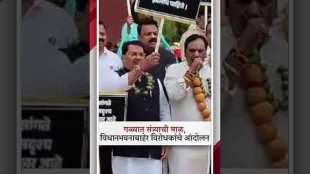 oppositions parties protesting at nagpur vidhan bhavan stairs for farmers