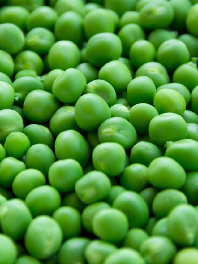 green peas nutrition profile benefits winter vegetables health tips gujarati news