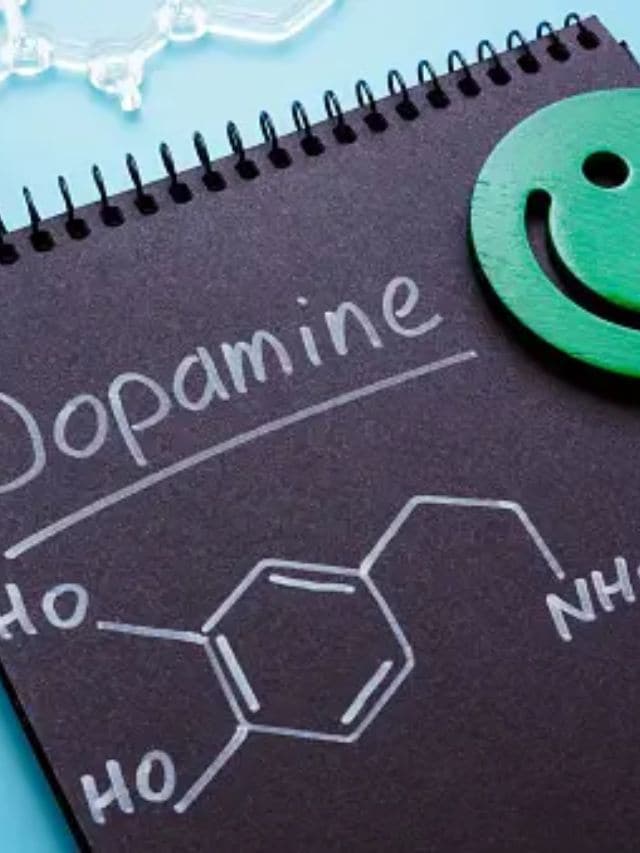Mental health food for being happy dopamine boosting foods health tips gujarati news