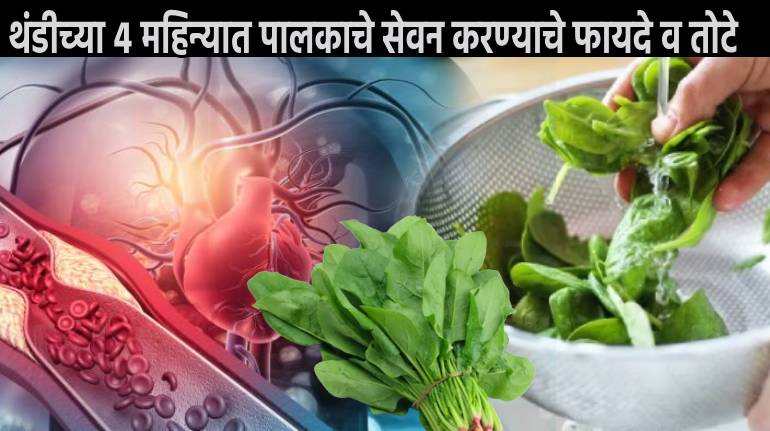 120 days If You Eat Palak In Winter How Your Body Will Change Benefits Of Spinach How Much Palak Should You Eat Body Maths