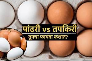 White or Brown Eggs Which Is Better In Nutrition Why Egg Shells Has Different Colour What Does It Mean Which eggs Are perfect