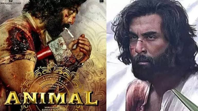 Animal Movie Arjan Vailly Song Deep Meaning Did You Know Who is Arjan Singh Nalwa What Does Vailly Means In Punjabi Photos