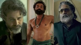 Animal to Tiger 3, In these films released in 2023, audience liked these villains more than heroes