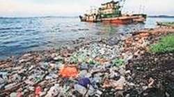 कुतूहल : प्लास्टिकचे सागरी प्रदूषण