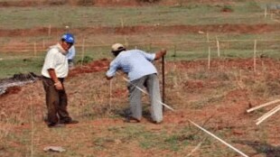 state government temporarily promoted 60 people Land Records Department Deputy Superintendent finalize land surveys pune