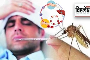 malaria control
