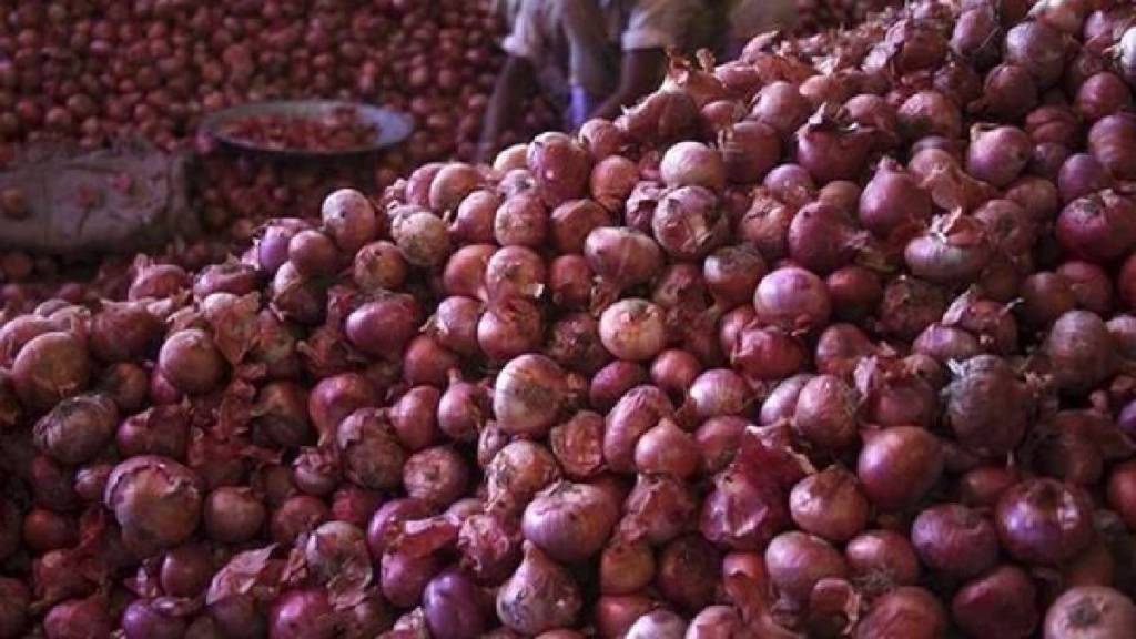 lasalgaon, onion price, export, apmc market, central government, farmers