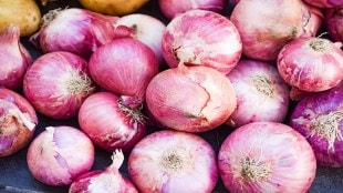 Onion price fall in Solapur