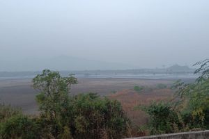 number of foreign birds visiting Uran decreased due to destruction and drying up of water bodies