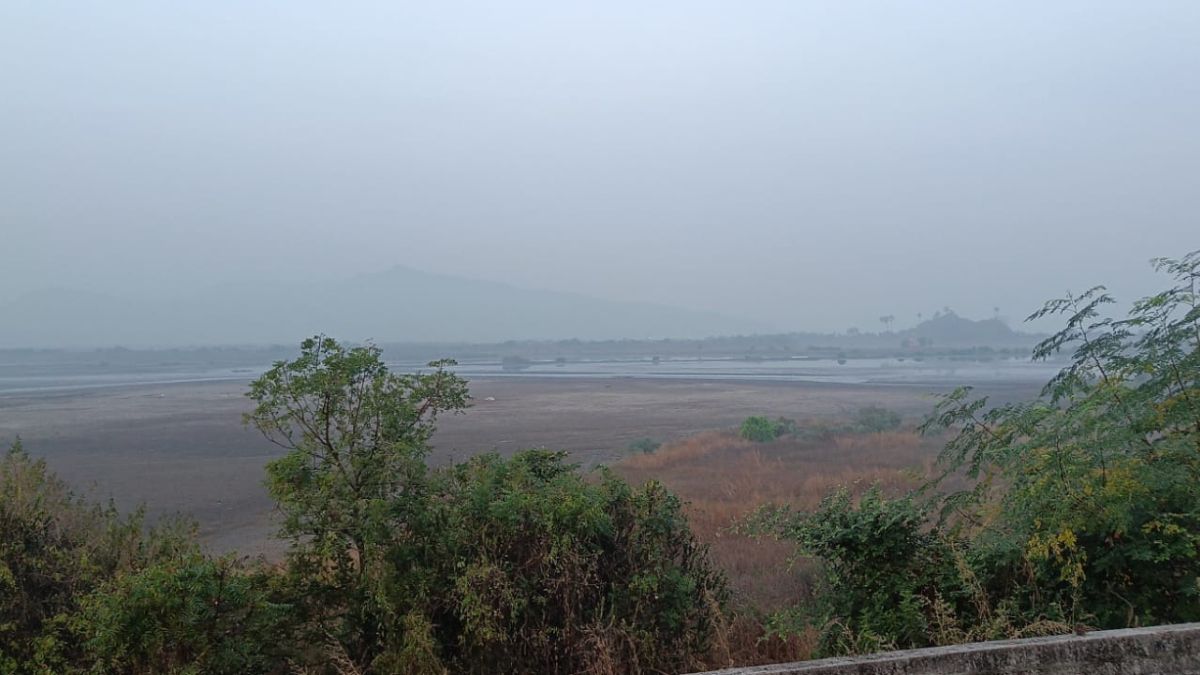 number of foreign birds visiting Uran decreased due to destruction and drying up of water bodies