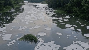 Pawanamai Jaladindi Wednesday de-pollution Pawana river pimpri