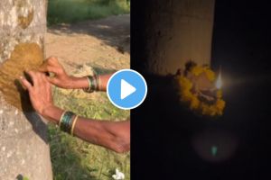a unique way of lighting diyas on tree in villages