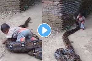 a child playing with python outside his home
