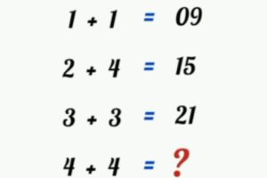 IQ Test