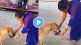 a Woman cleaner offer water to A thirsty dog at railway station
