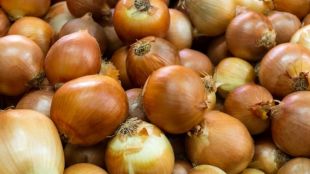 Kitchen Jugaad how to store onion at home for a year