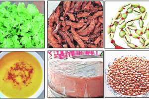 nine products from maharashtra get geographical indication tag