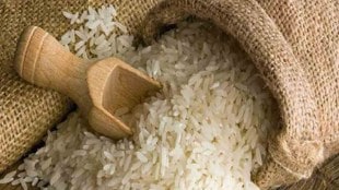 Rice is 15 to 20 percent more expensive at the beginning of the season
