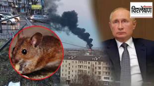 russia ukraine war mouse fever