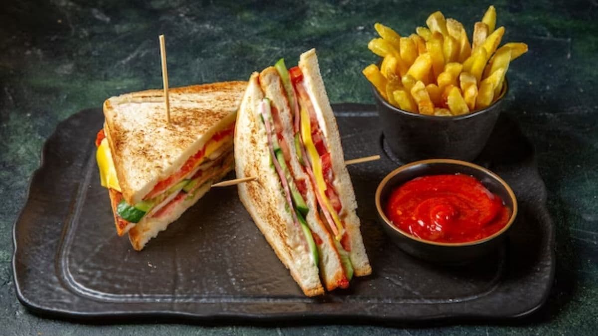 sandwich recipe without bread