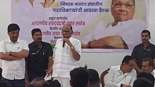 Sharad Pawar on opposition