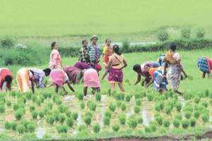 micro Irrigation scheme promoted by government through various schemes